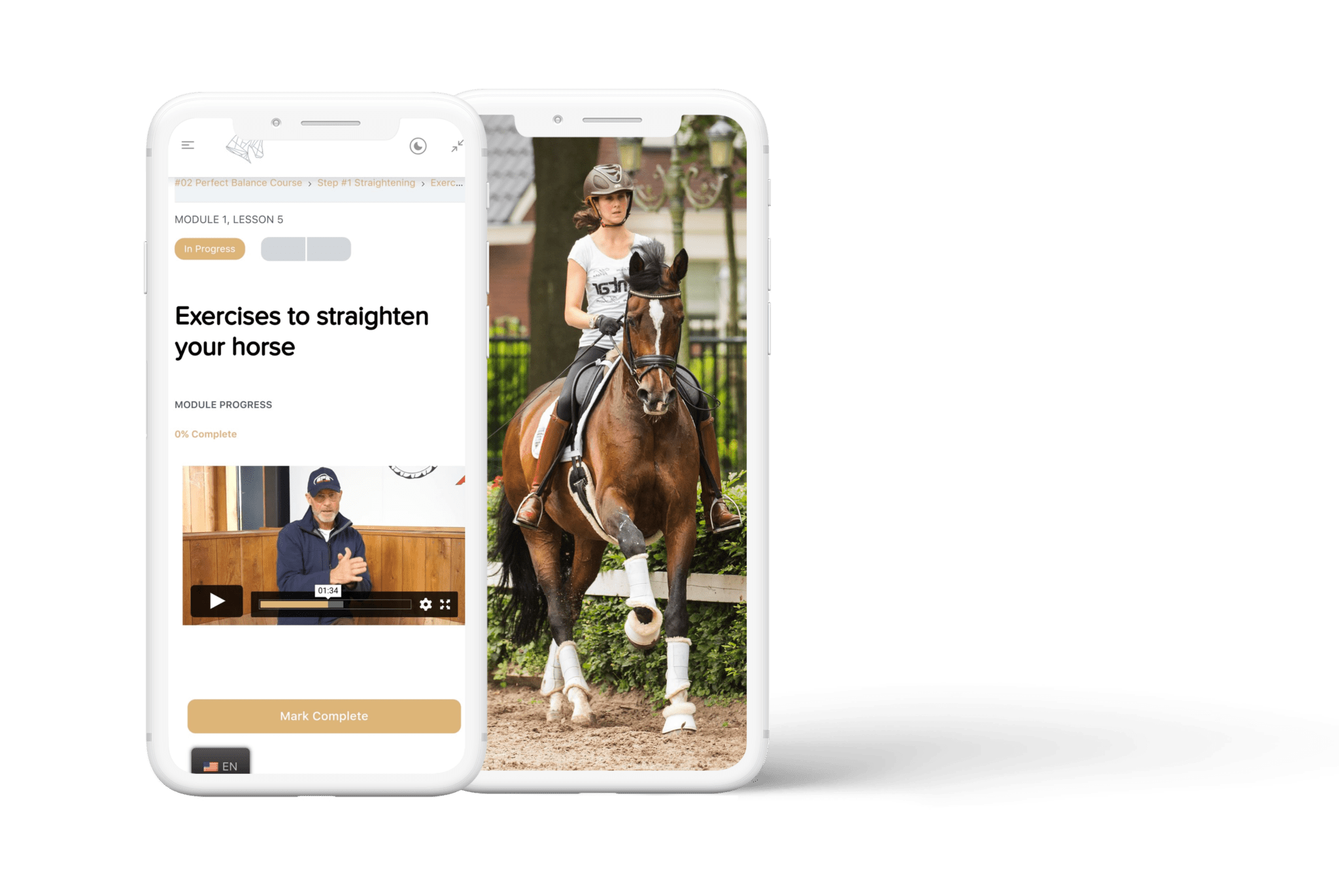 Perfect Balance Course [199] – Rien van der Schaft's Dressage Training