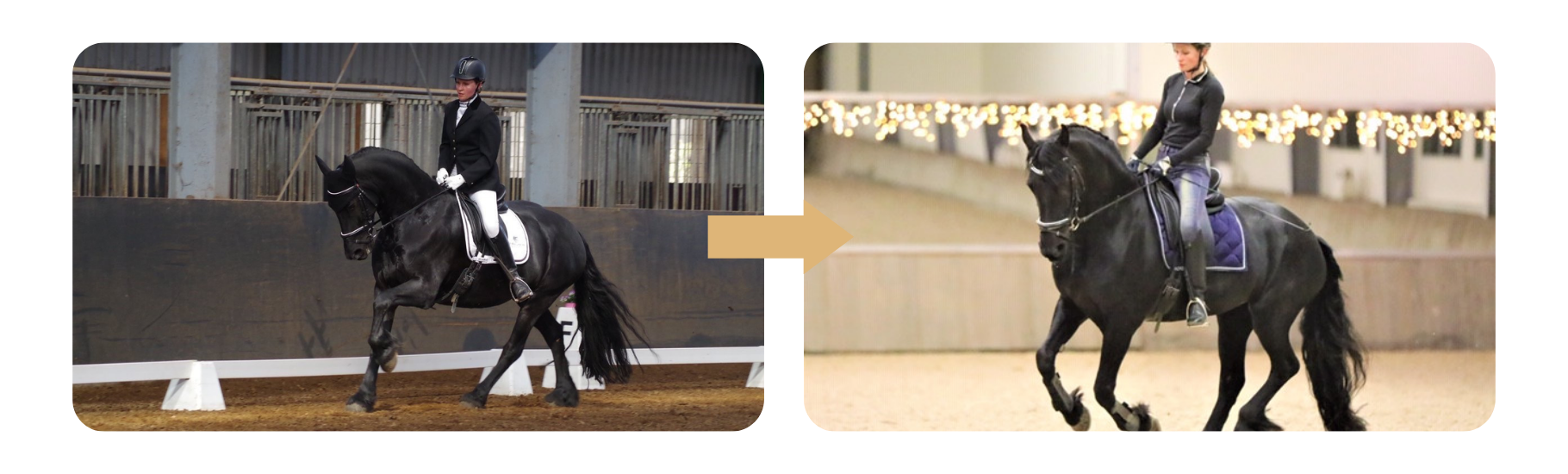 Member Evelien: 'She moves in a more horizontal balance, she is more open in her frame and my posture has improved a lot.'