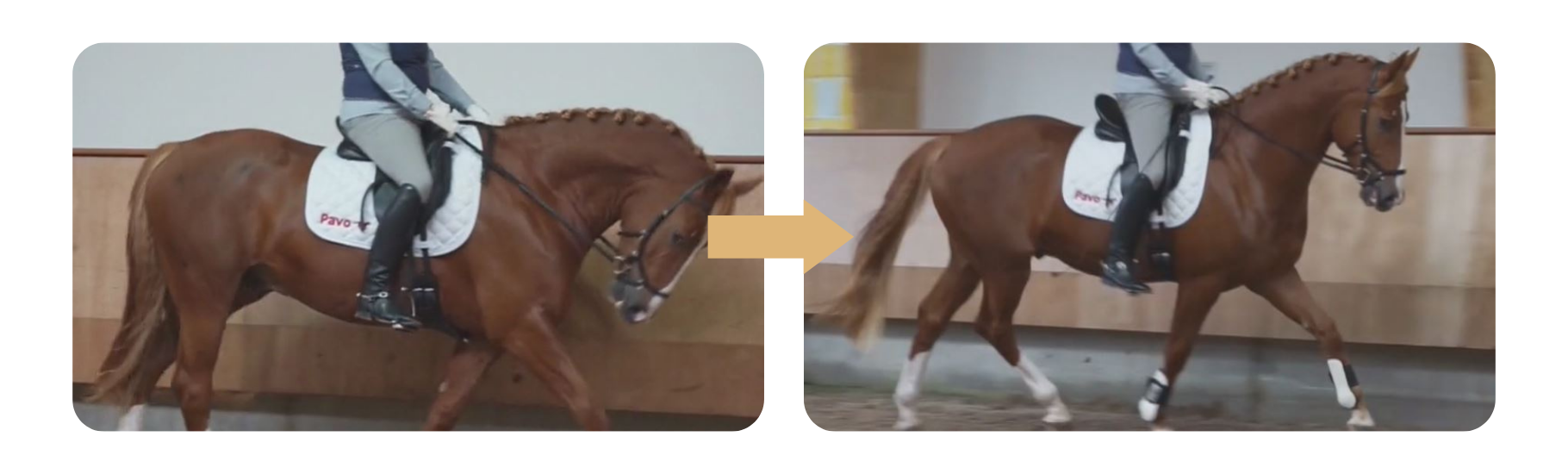 Member Pauline: 'With small changes there was so much improvement in the connection and impulsion.'