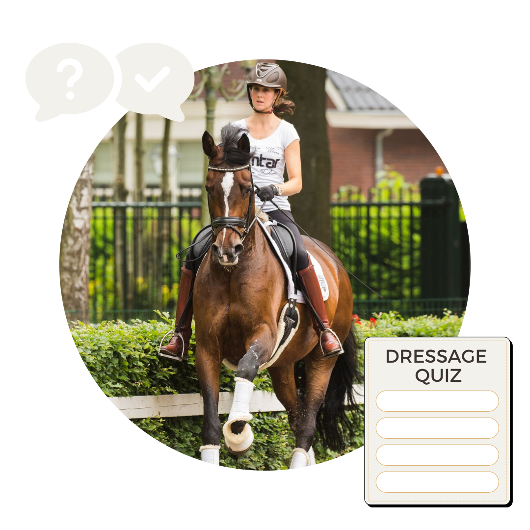 Collection Quiz Rien van der Schaft's Dressage Training