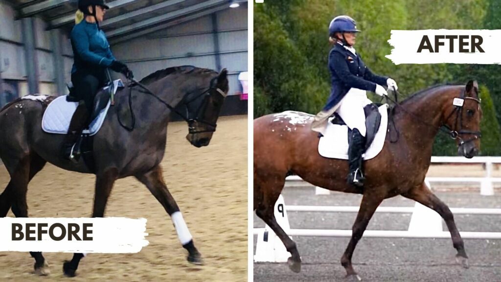 Anne: At 55 years old and with over 30 years of riding I feel like I have finally understood what ‘getting the basics right’ actually means and it has given me such a new buzz about my riding. Friends, family and most importantly the judges have all commented on how well my mare Rita is going and our percentages have gone up, up, up!!! Thank you Rien for your amazing programme.