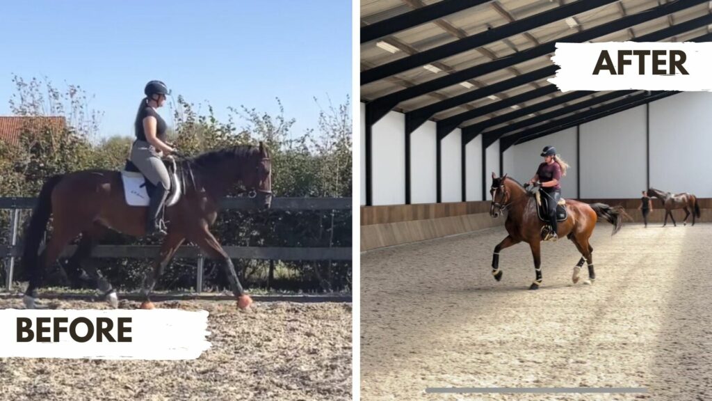 Ilse: Now that I'm Medium Level I still make a lot of use of the training videos I've already completed. If I get stuck for a while, I take a step back to be able to move forward. Our biggest problem was impulsion and that is so much better now. Plus I know now how important this forwardness is.