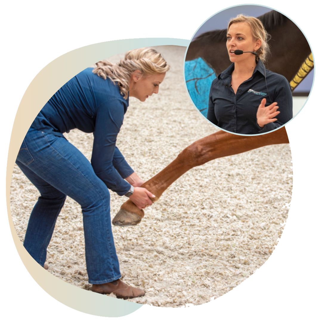 Trainer’s Club Rien van der Schaft's Dressage Training